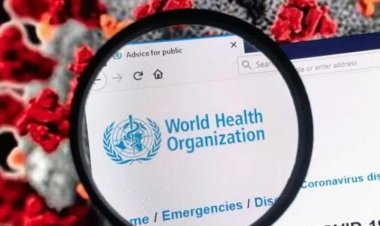 Los protocolos criminales de la OMS