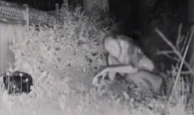 Ya están aquí los alienígenas