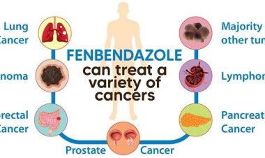 Un antiparasitario que combate el cáncer