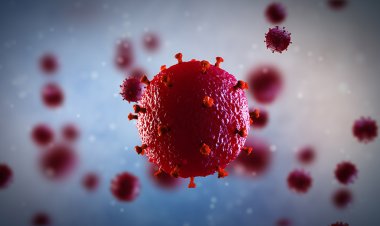 ¿Plandemia en 2024?