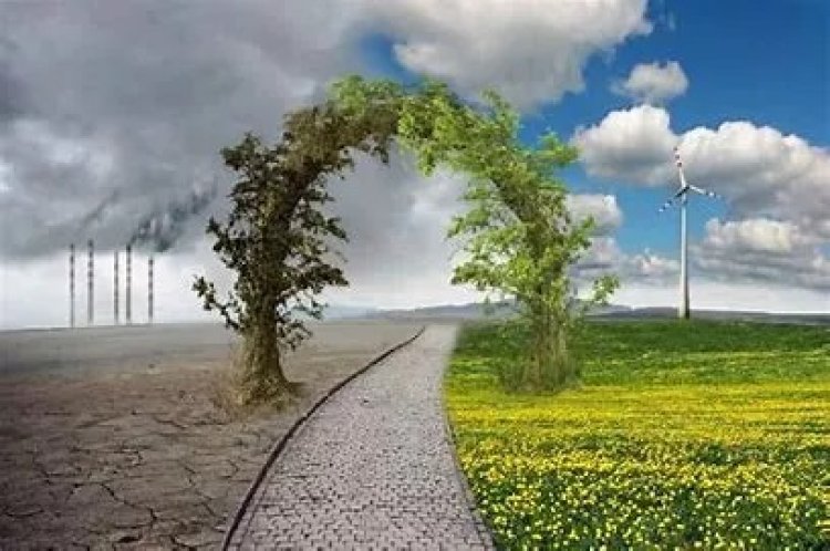 No hay emergencia climática