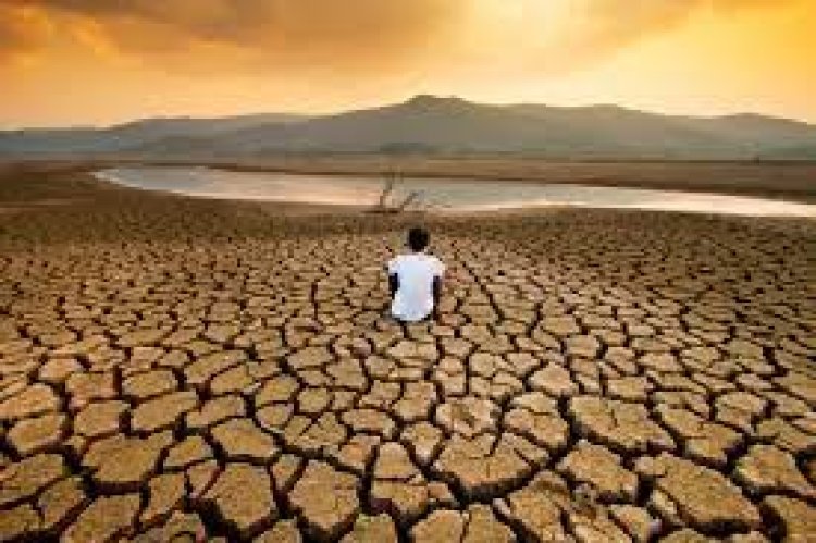 Miedo climático