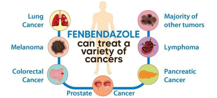 Un antiparasitario que combate el cáncer