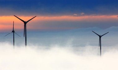 Forestalia y el nuevo Gobierno de Aragón