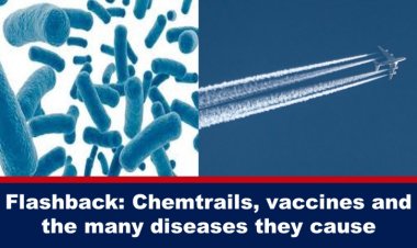 La verdad de las mentiras