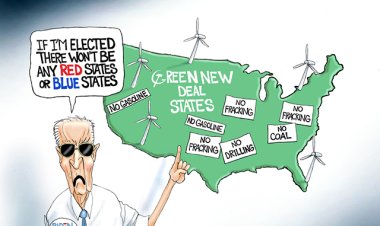 Tres prendas nuevas al año, y no más CARNE