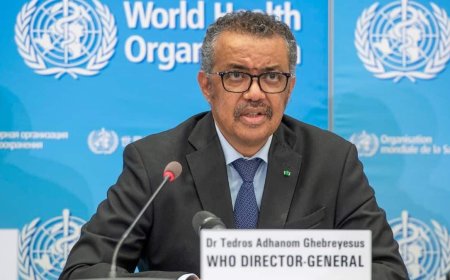 Iniciativa para derribar a la OMS