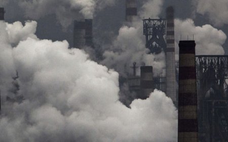 Poner fin a la mentira del alarmismo sobre el cambio climático