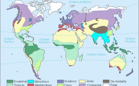 El clima y el estado del mundo