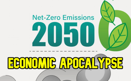 Carbono neto cero para 2050