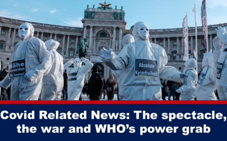 El espectáculo, la guerra y la toma de poder de la OMS