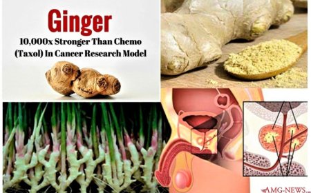 Jengibre – 10,000 veces más fuerte que la quimioterapia