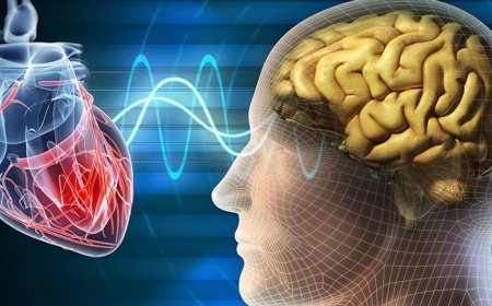 El campo energético del corazón y el ADN