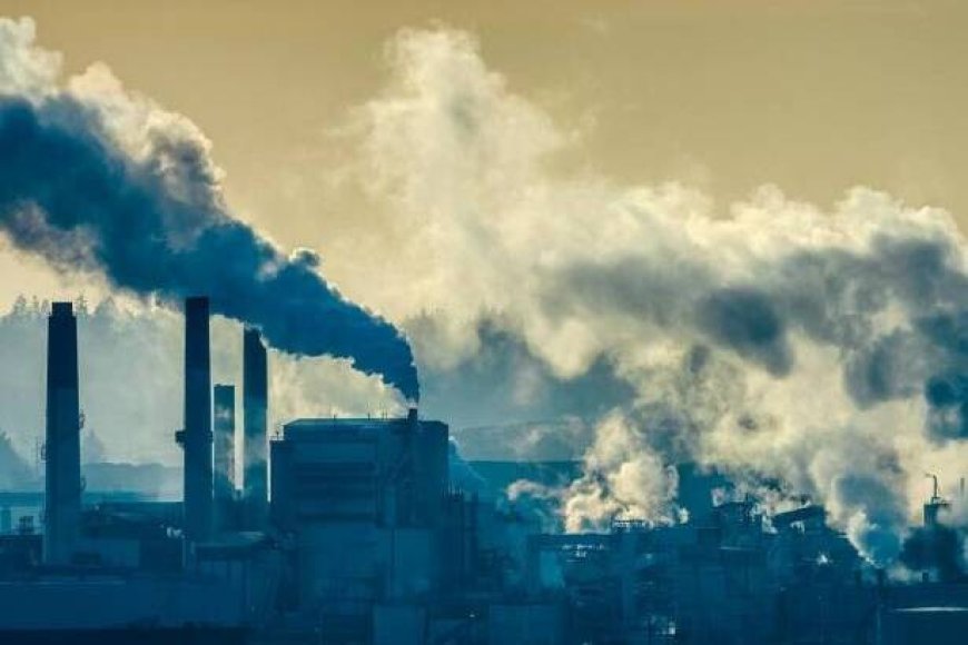 Los "derechos de emisión de carbono"