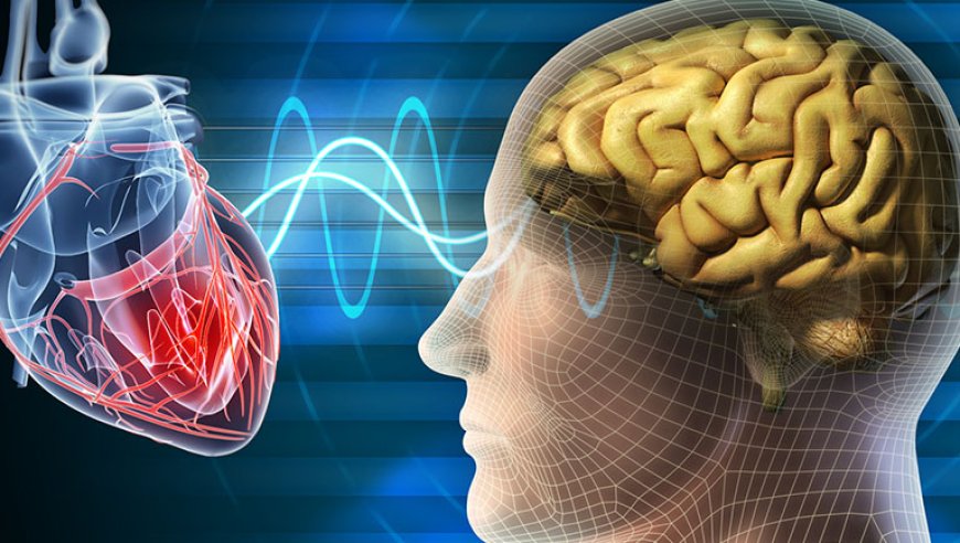 El campo energético del corazón y el ADN