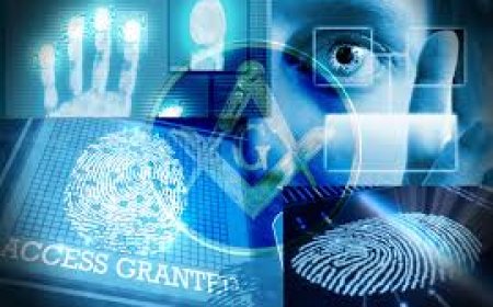 Los masones están recolectando el ADN de sus hijos