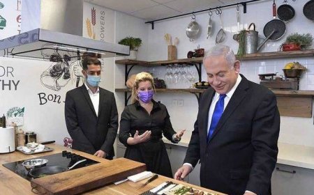 Síndrome de Alpha Gal