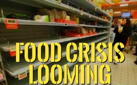 Comer carne sintetica