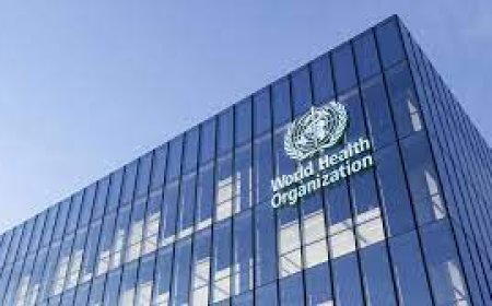 Los gobiernos no están cumpliendo con la OMS