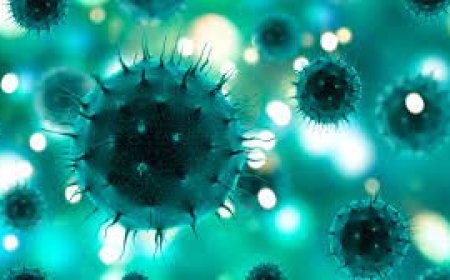 Mintieron para aumentar los casos del COVID 19