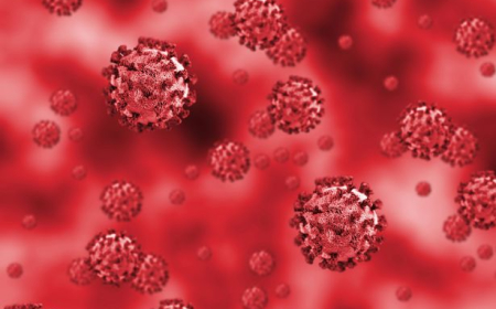 Los que tuvieron COVID 19 van a morir ¿