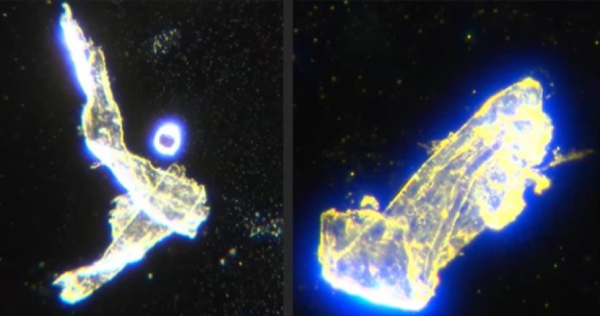 Ccoágulos de sangre gomosa hechos de hidrogel