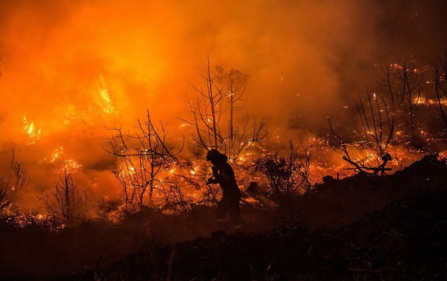 Los incendios forestales ¿calamidad natural o catástrofe diseñada intencionada?