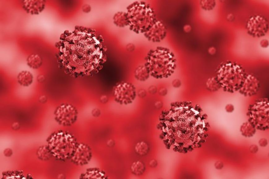 Los que tuvieron COVID 19 van a morir ¿