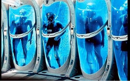 Están jugando con Dios