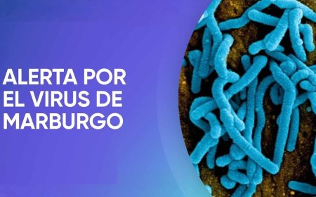 ?Con 5G liberaran el virus del Marburgo del hidrogel de las vacunas COVID 19¿