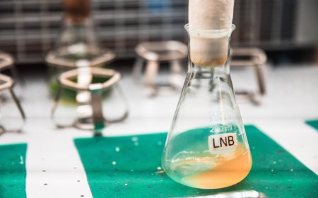 Bacterias que generan electricidad a partir de aguas residuales