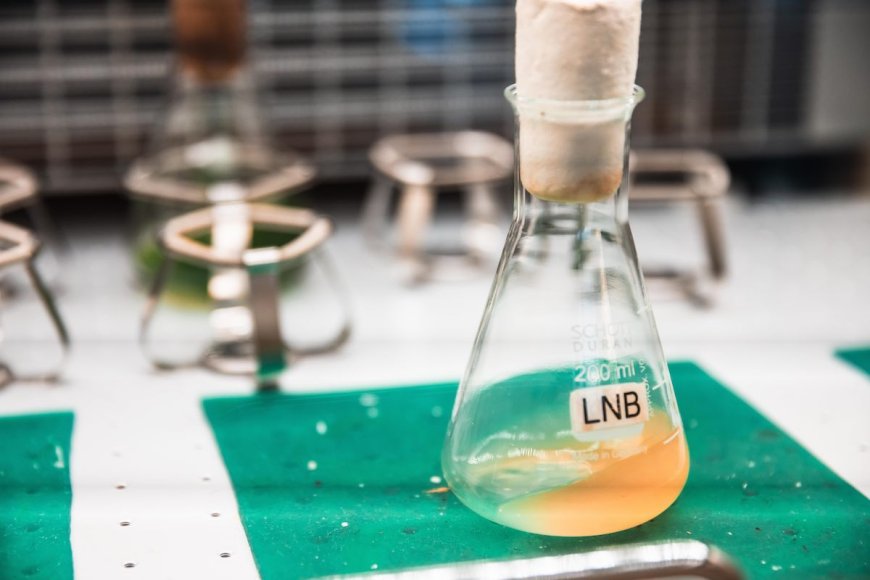 Bacterias que generan electricidad a partir de aguas residuales