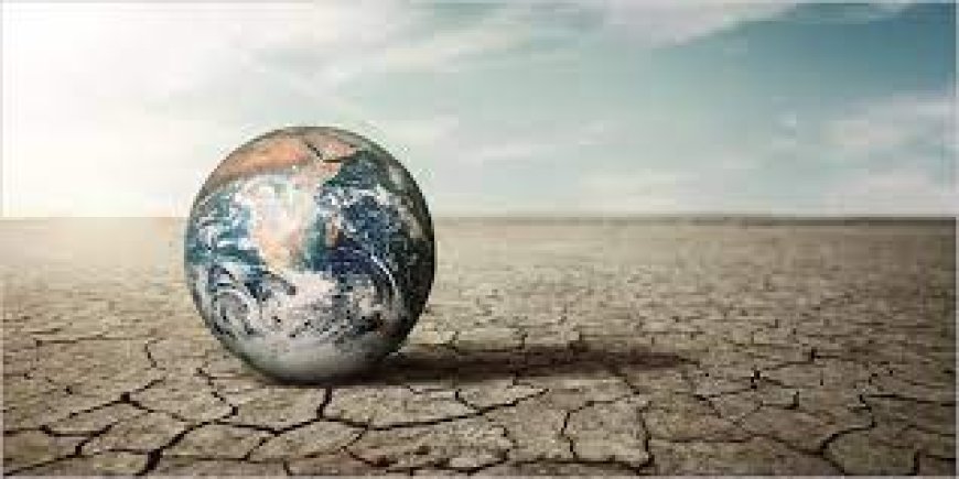 No hay emergencia climática