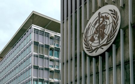 La toma de poder de la OMS debe detenerse
