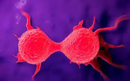 La historia del cáncer