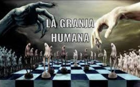 Creando la prisión digital