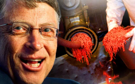 Drogas de despoblación que se bombean a las comidas rápidas