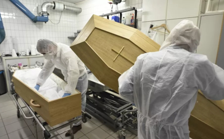 Exceso de mortalidad en todo el mundo por las vacunas COVID 19 y el 5G...y lo siguen negando