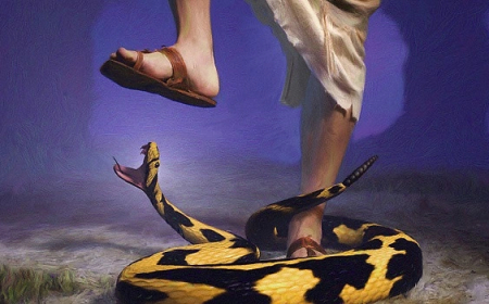 La cabeza de la serpiente debe ser cortada en Ginebra