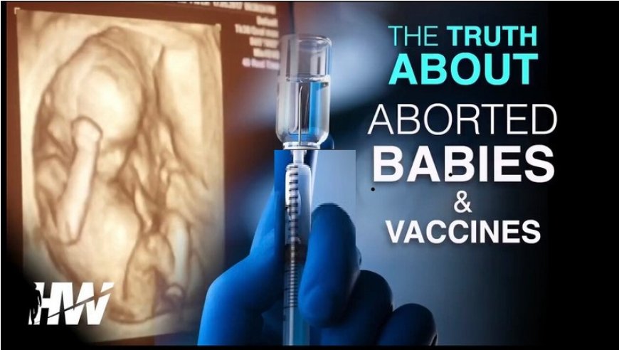 La verdad sobre los bebés abortados y las vacunas