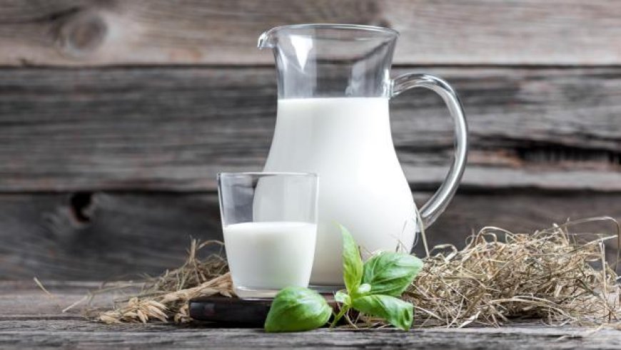 Cómo la leche destruye nuestra salud