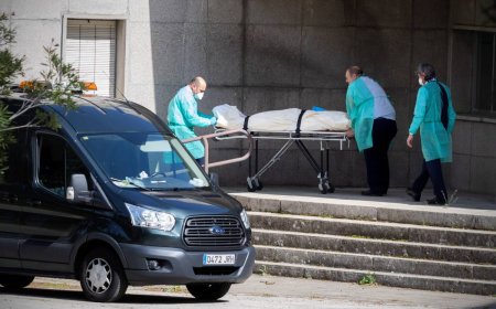 Exceso de muertes en España...y lo siguen negando