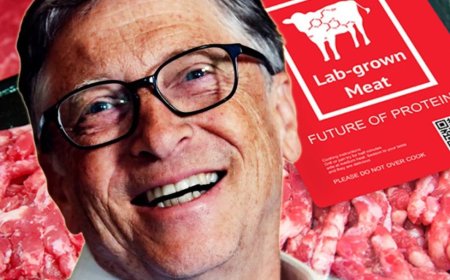 La carne OMG de Bill Gates expuesta y prohibida