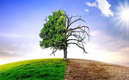 El desierto del Sahara se está reduciendo