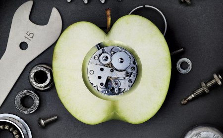 ?Ya no existe comida sana¿