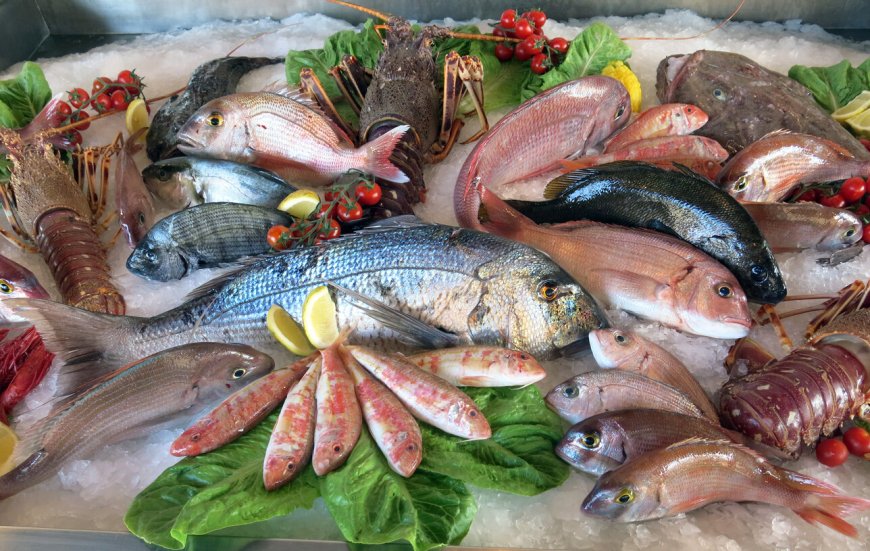 Pescado libres de mercurio