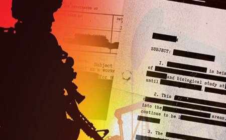 ¿Por qué Estados Unidos invadió Irak?