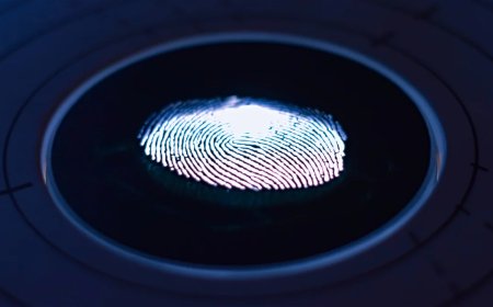 Borrar tu huella digital en Internet es posible