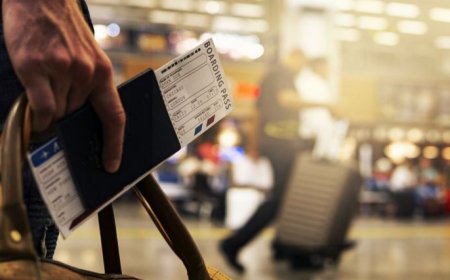 Un pasaporte de carbono