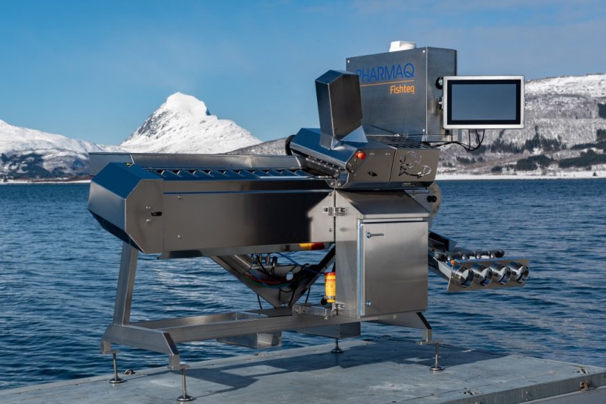 Máquina para la vacunación de peces
